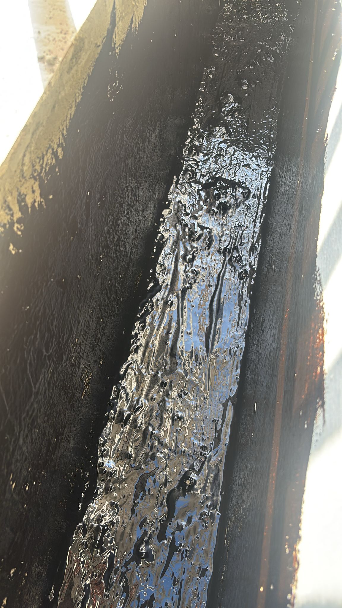 WhatsApp Image 2025-03-02 at 16.18.26