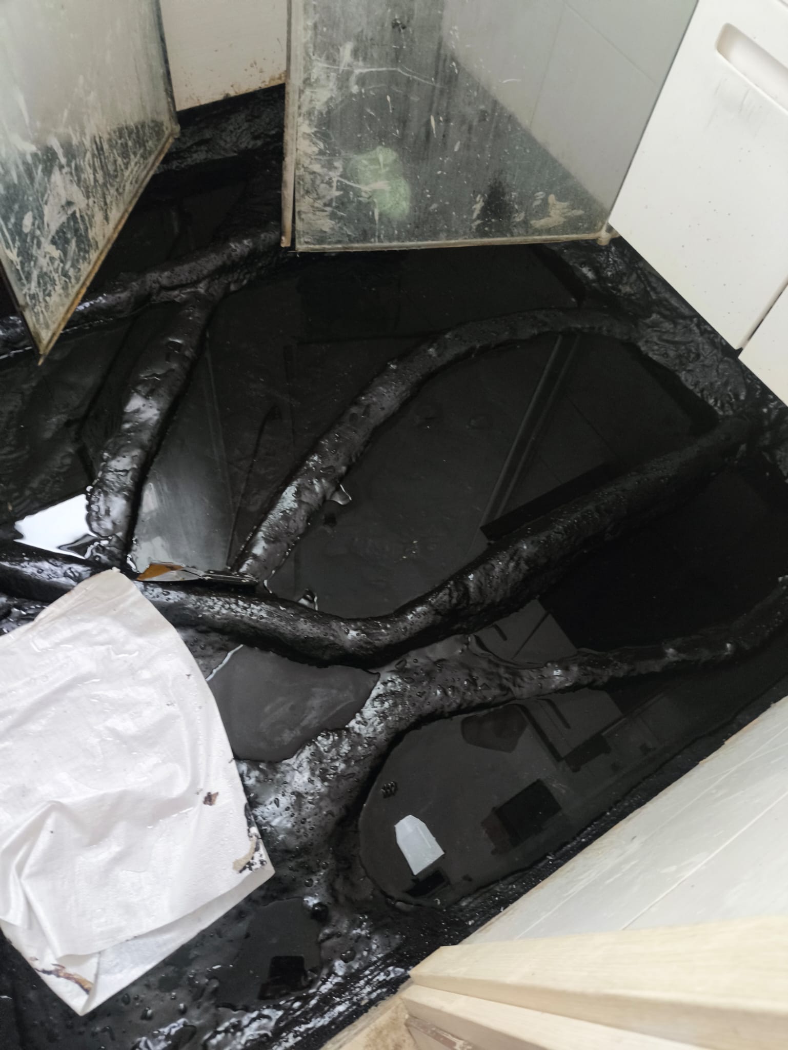 WhatsApp Image 2025-03-02 at 16.26.56