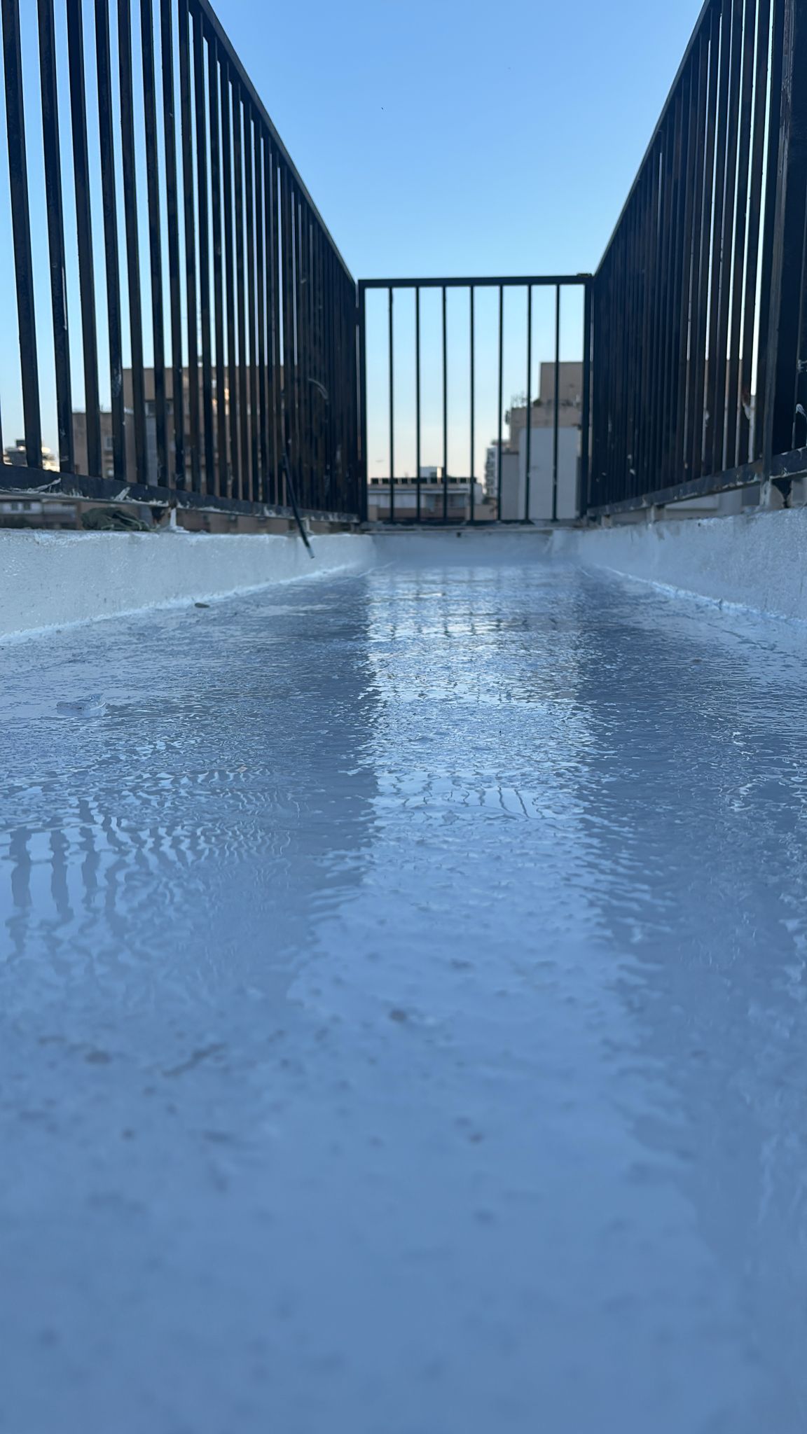 WhatsApp Image 2025-03-09 at 18.32.04